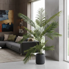 PLANTA SERENA - comprar online