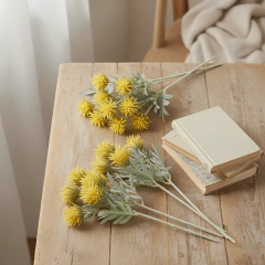 Imagen de Flores Silvestres