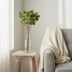 Planta Eucaliptos en internet