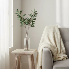 Planta Eucaliptos - comprar online