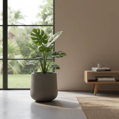 MATERA NIZA - comprar online