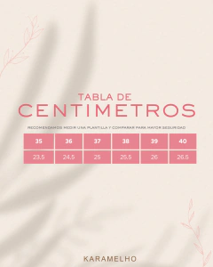 RENU CHOCO - comprar online