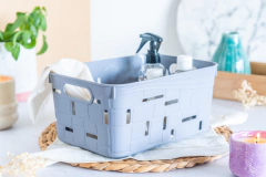 CANASTO ORGANIZADOR PLASTICO 27X19,5X12,5CM en internet