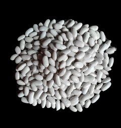 Feijão Branco - comprar online