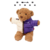 Supreme The North Face Bear Tan