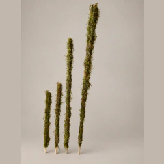 Tutor de musgo para plantas