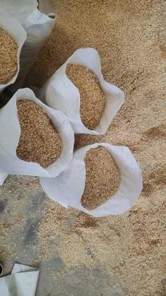 Imagen de Aserrin De Pino Bolsa 30 Lts