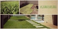 Fertilizante para mantenimiento de cesped - Nuevo Vivero Hanasono