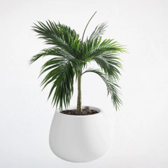 Maceta Rotomoldeada Batea - comprar online