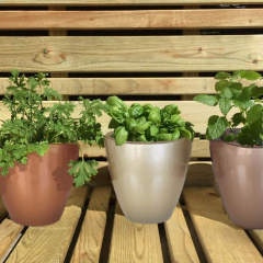 Imagen de Maceta de plastico Berta