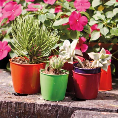 Maceta de plastico Berta - tienda online