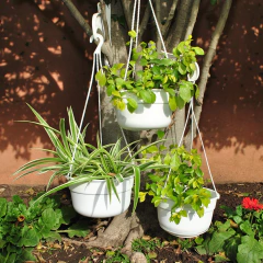 Maceta de plastico Bols - tienda online