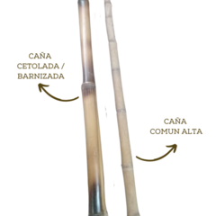 Cañas decorativas