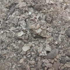 Conchilla en bolson big bag - comprar online