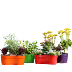 Maceta jardinera Sofia Nº 35 - comprar online