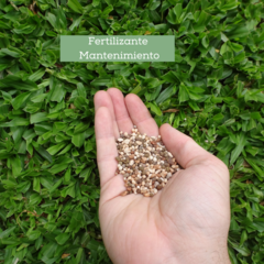 Fertilizante para mantenimiento de cesped - comprar online