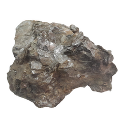 Piedra micosa