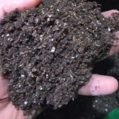 Sustrato especial para plantas - terrazas / techos verdes en bolson big bag - comprar online
