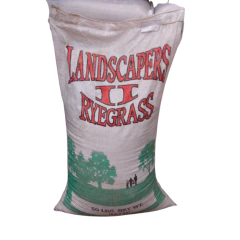 Semillas De Cesped - Rye Grass Anual - comprar online