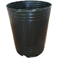 Macetas sopladas - cultivo - comprar online