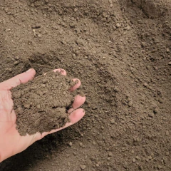 Tierra negra fertil