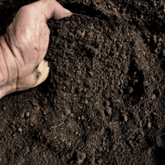 Bolson de tierra negra abonada con compost orgánico en internet