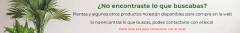 Banner de la categoría Pometina