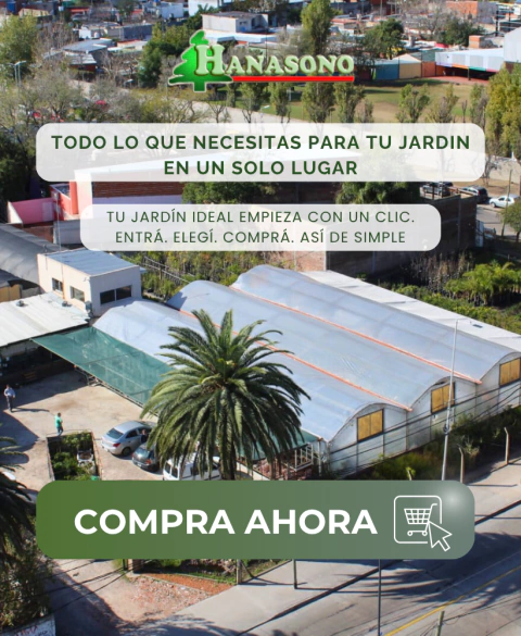 Carrusel Nuevo Vivero Hanasono