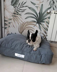 Funda Jana para Jana, pierre y Dante - tienda online