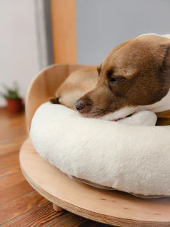 Base Oslo - tienda online