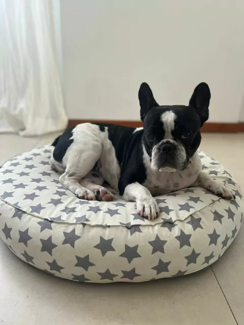 Coco - tienda online