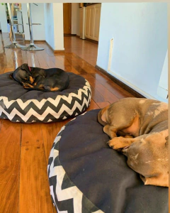 Fidel - tienda online