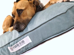 Berlin - Pequeño Retoño