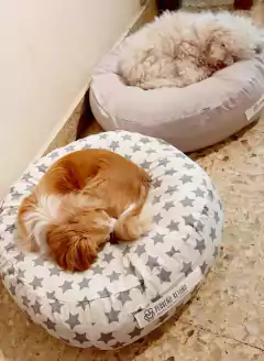 MONA - Pequeño Retoño