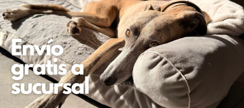 Imagen del carrusel Pequeño Retoño