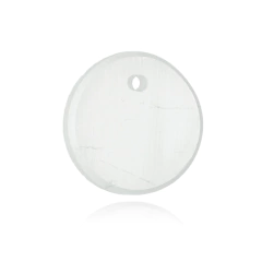 Sign of Capricorn pendant on internet