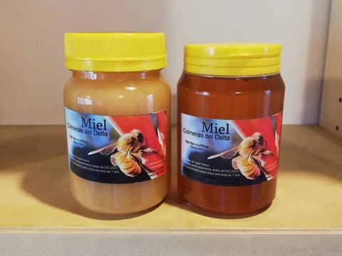 Miel Colmena del Delta - Cremosa