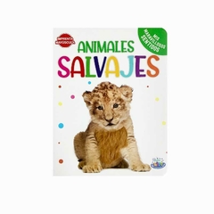 Colección: Mis maravillosos sentidos - tienda online