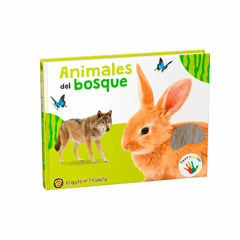 Colección: Toco y descubro - comprar online