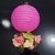 COLGANTE FAROL CHINO PAPEL ROSA + RAMO FLORES