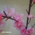 VARA RAMO FLORES CEREZO ROSA BODA - comprar online