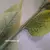 PACK x10 GIRASOL GIGANTE ARTIFICIAL 1,10 Mt Deco - comprar online