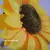 PACK x6 GIRASOL GIGANTE ARTIFICIAL 1,10 Mt EVENTOS en internet