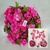 Guia flor Artificial Cerezo Rosa 1,80 mts en internet