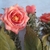Ramo flores Artificiales Mod 1610/D - comprar online