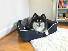 Cama Pet 01