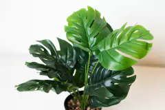 PLANTA ARTIFICIAL “NOA” CON MACETA NEGRA - comprar online