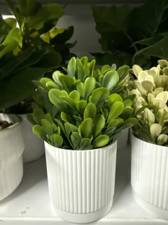 PLANTA ARTIFICIAL "NORA" CON MACETA PLÁSTICA BLANCA CON RAYAS - Marian Todo Organizado