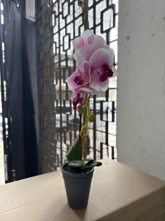 FLOR/ PLANTA ARTIFICIAL "ORQUIDEA" CHICA en internet