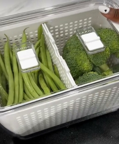 ORGANIZADOR "AYMARA PLUS” XL TAPA CON RESPIRADOR PARA HELADERA en internet
